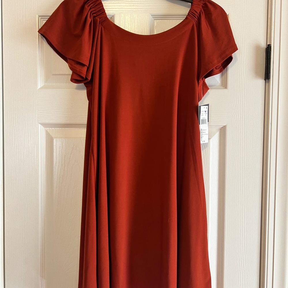 Signature by Robbie Bee Rust Mini Dress